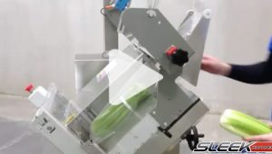 Breezy bagger vegetable bagging machine